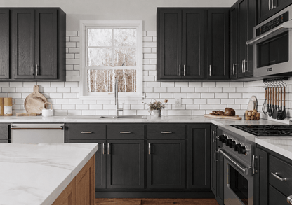 Amishwerks Vasa Black Door Sample Vasa Black Door Sample